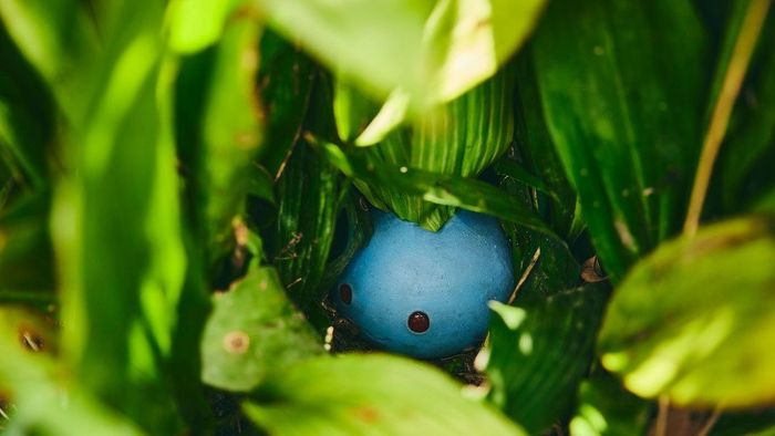 寶可夢的起點就在大自然之中