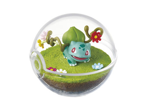 4_fushigidane_terrarium_300300.jpg