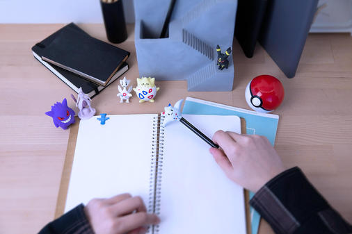 PokeMon-image03.jpg